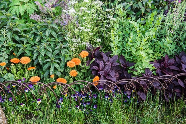 Herb garden