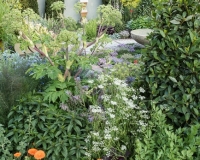Modern herb garden