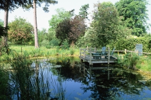 Naturalistic Ponds