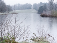 Painshill Park landscape garden overlooking the frozen lake with the Gothic Temple in the background