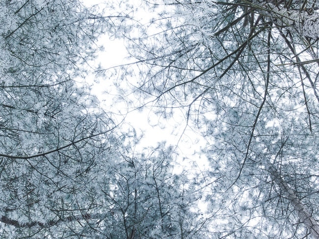 36089