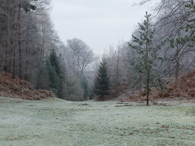 The alpine valley at Painshill Park landscape garden
