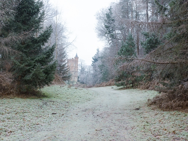 The alpine valley at Painshill Park landscape garden with the tower in the background