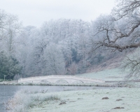 The five arch bridge at Painshill Park landscape garden