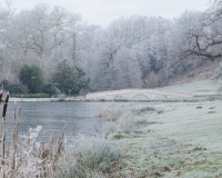 The five arch bridge at Painshill Park landscape garden