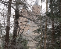 The tower seen through trees at Painshill Park landscape garden