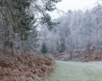 The alpine valley at Painshill Park landscape garden