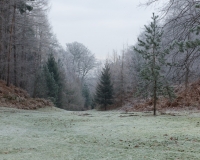The alpine valley at Painshill Park landscape garden