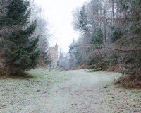 The alpine valley at Painshill Park landscape garden with the tower in the background