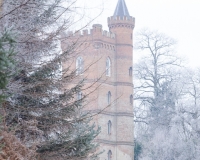 The tower seen through trees at Painshill Park landscape garden