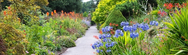 The Paradise walk at Borde hill garden