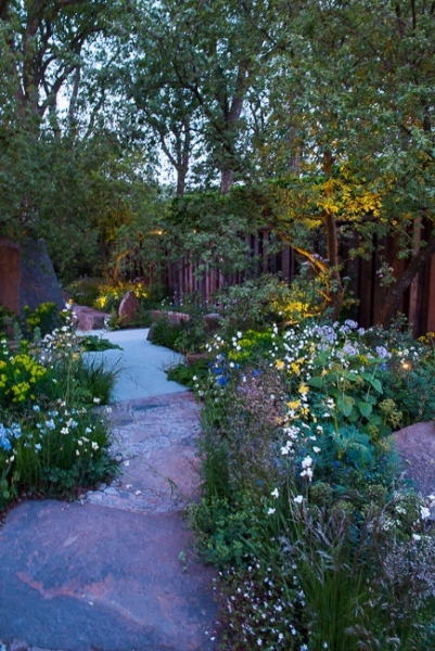 Lighting in a woodland garden