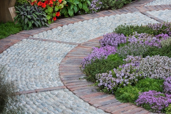 Cobblestone pathway around a carpet of thymes