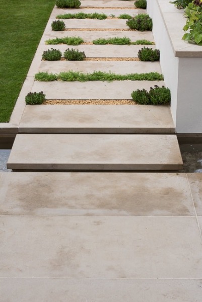 Scented pathway over a rill