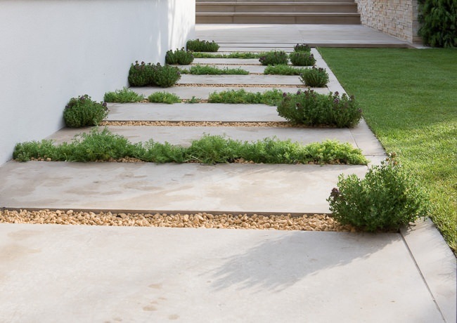 Scented pathway planted with herbs