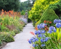 The Paradise walk at Borde hill garden