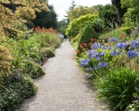 The Paradise walk at Borde hill garden