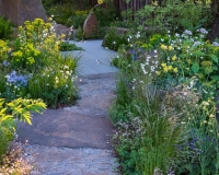 Blue sandstone pathway through borders of woodland plants and sandstone rocks