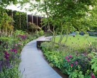 Pathway through a contemporary rose garden