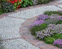 Cobblestone pathway around a carpet of thymes