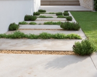 Scented pathway planted with herbs