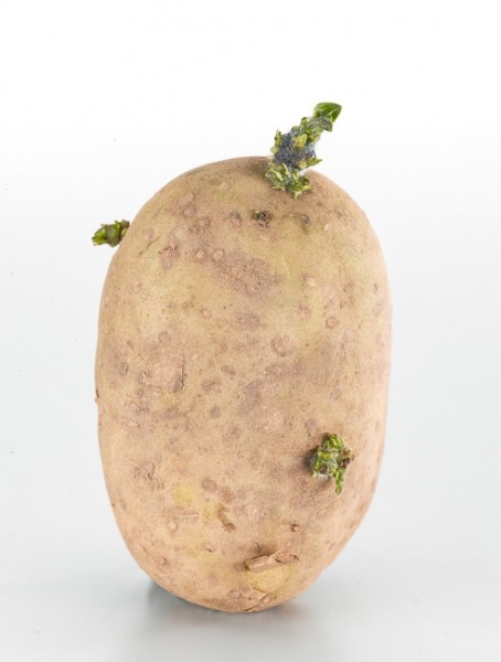 31080