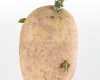 31080