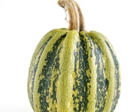 30741