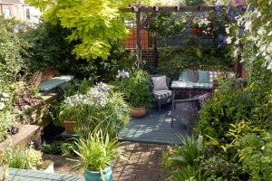 Small Terrace House Garden