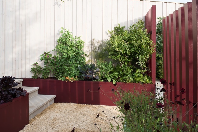 Vegetables planted in raised beds in a small garden