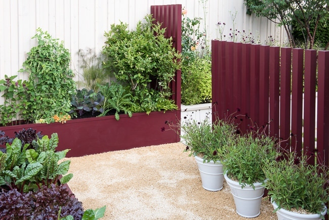 Vegetables planted in raised beds in a small garden