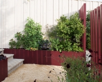 Vegetables planted in raised beds in a small garden
