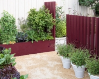 Vegetables planted in raised beds in a small garden