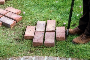 Stepping Stone Path 