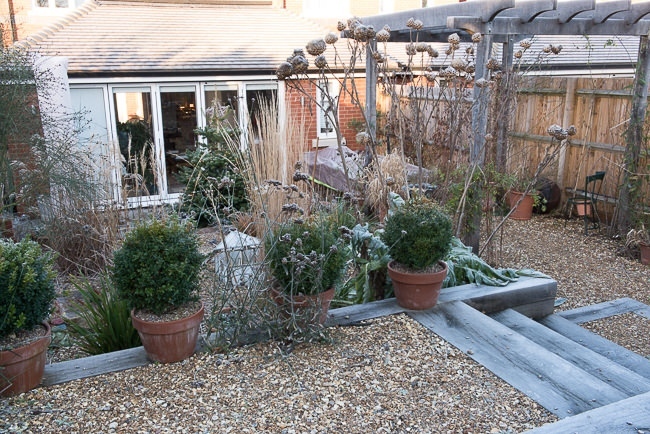 Frosty morning in a gravel garden, steps leading down to a lower level
