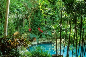 Swimming Pools