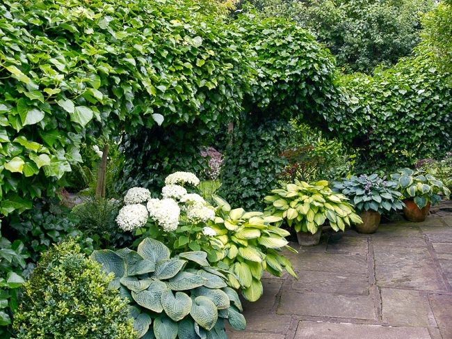 31915