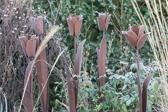 Rusty metal tulips covered in frost