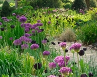 31599