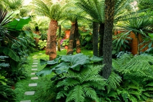 Urban Jungle