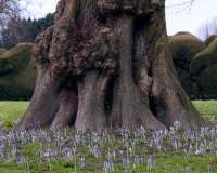 35904
